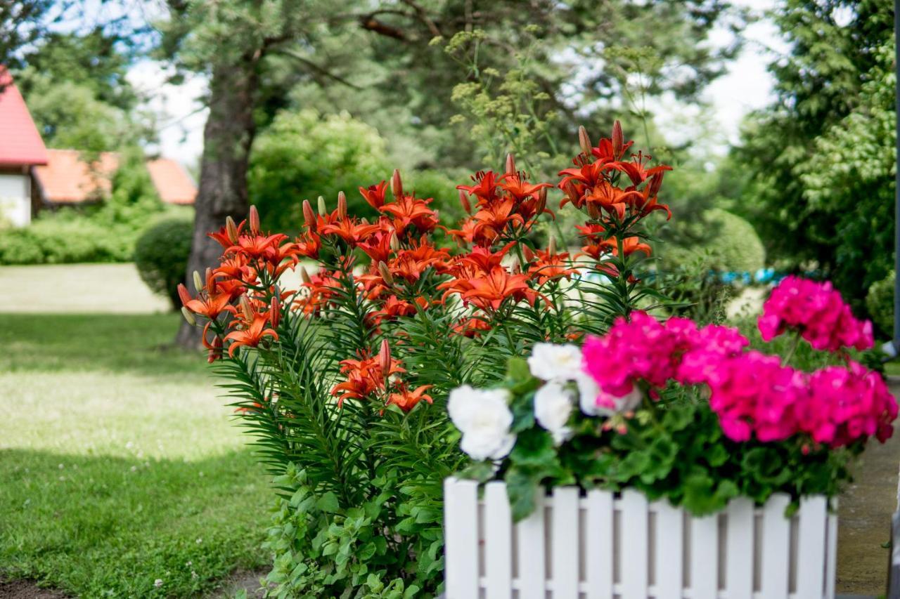Pensjonat Faryny Bed & Breakfast *
